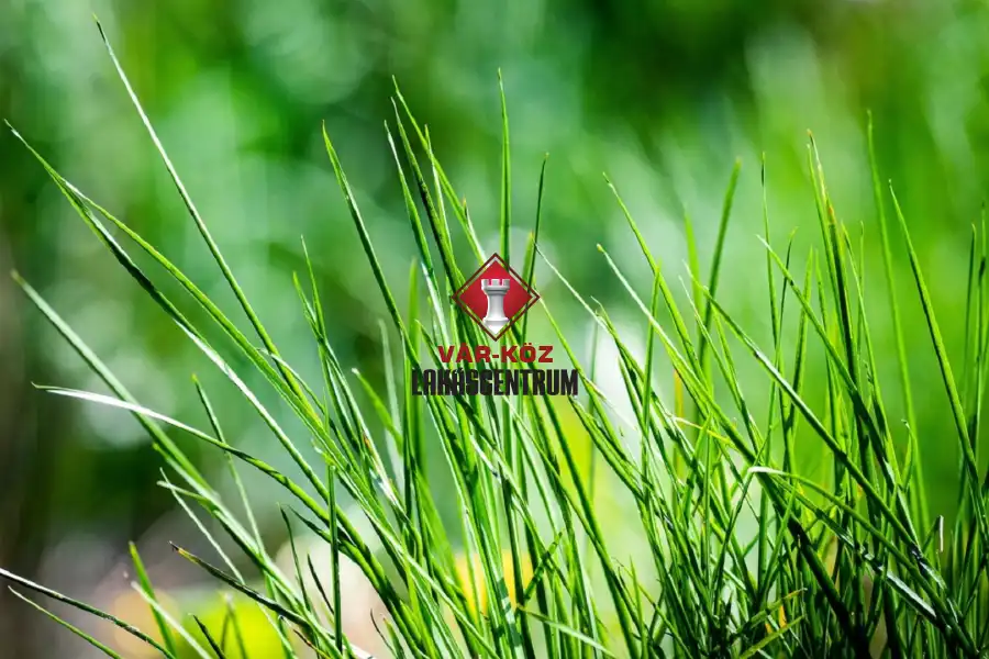 eladó újszerű családi ház, Abony