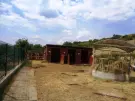 Pest megye - Rád