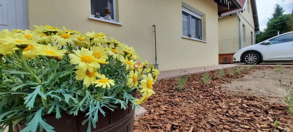 Pest megye - Sződ