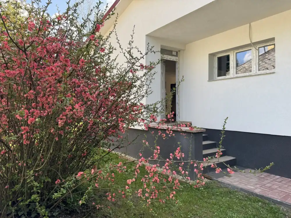 Pest megye - Ráckeve