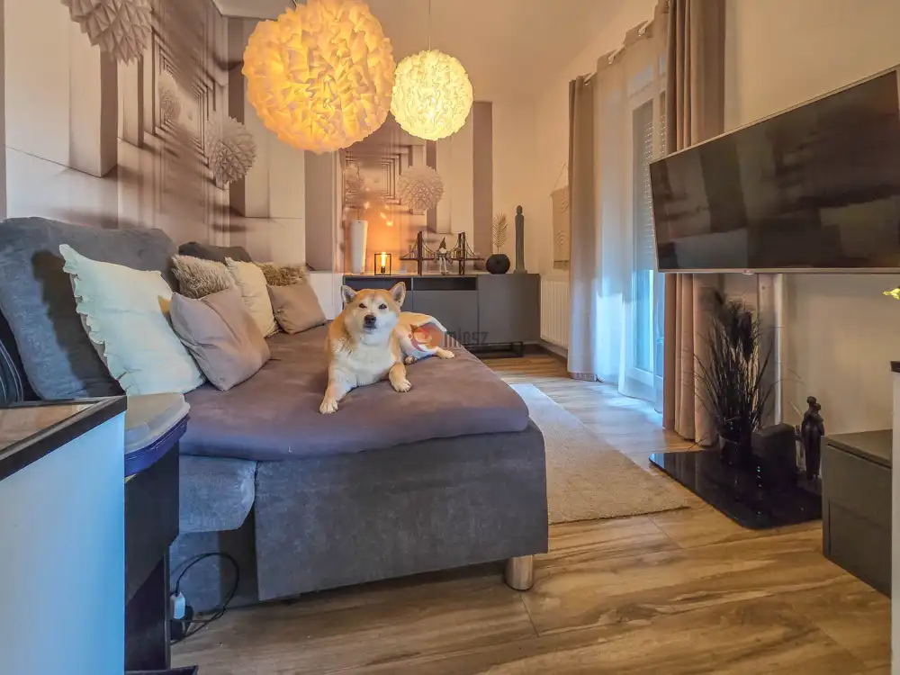 Győr-Moson-Sopron megye - Sopron